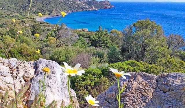 İkinci Cemre Suya Düştü