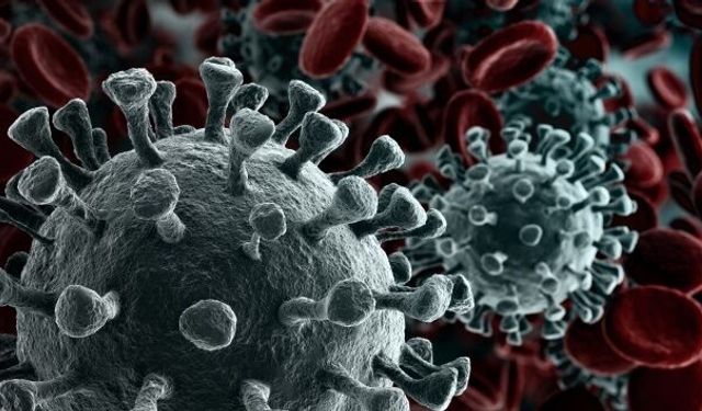 Kanser Tedavisinde Yeni Ufuk: Kişiye Özel Kanser Aşıları Gündemde