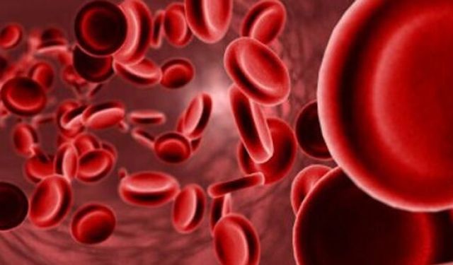 Uzmanından Demir Eksikliğine Karşı Beslenme Önerisi