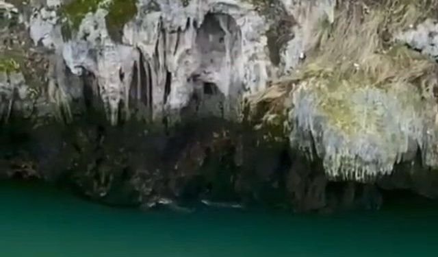 Karakoçan'da Su Samurları Görüntülendi