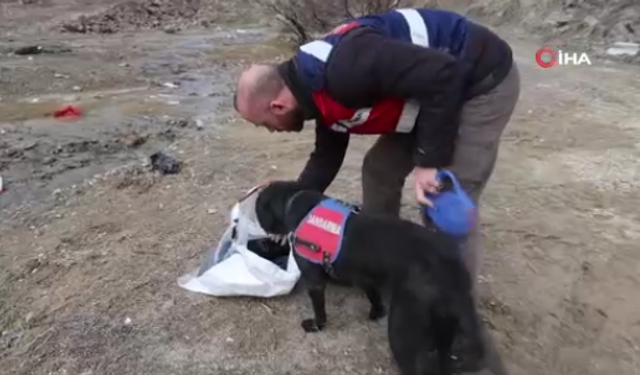 Jandarma Köpeği Salkım, Kayıp Şahıs İçin Elbise Ve Ayakkabı Örneğiyle İz Sürüyor