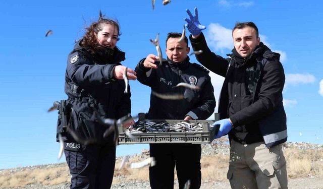 Doğu'nun Gizli Denizinde Şefkat Eli: Polis Ekipleri Martı Ve Tavşanları Unutmadı