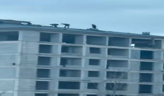 Elazığ'da İnşaat İşçilerinin Tehlikeli Çalışması Kamerada