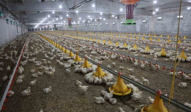 Devletten Aldığı Destekle İkinci Çiftliğini Açtı