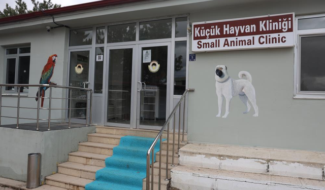 Cumhuriyet Tarihinin İlk Fakültesine Ait Hastanede, Bir Yılda 9 Bin 600 Hayvan Şifa Buldu