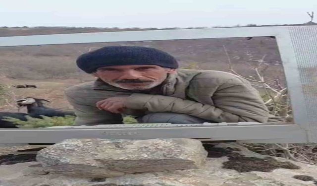 Elazığ'da Çobanın 'Televizyonlu' Hava Durumu Sunumu Tebessüm Ettirdi