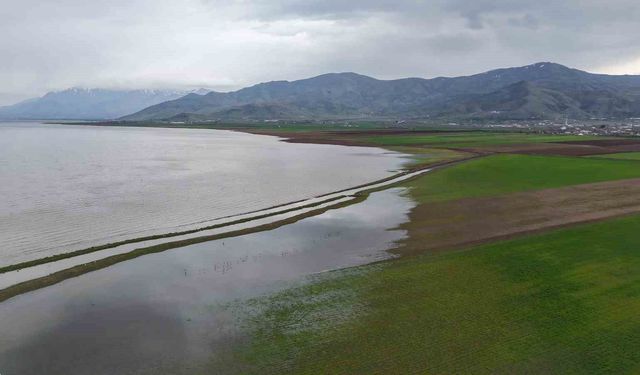 Aynı Nokta, 7 Yıl Arayla: 2019'da Kurudu, 2026'da Sular Altında Kaldı