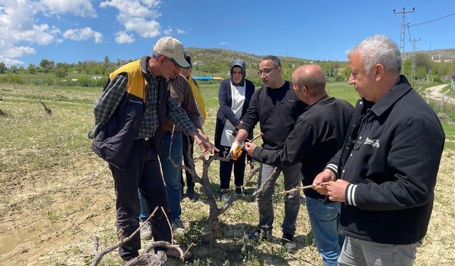 Elazığ'da Tarla Okulu Eğitimleri