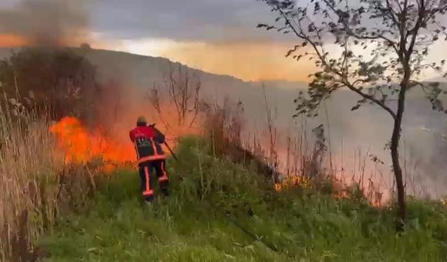 Kovancılar'da Otluk Yangını