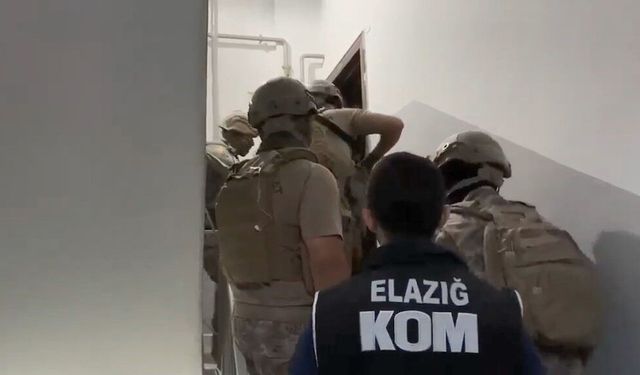 Elazığ Merkezli 4 İlde Suç Örgütüne Eş Zamanlı Operasyon: 29 Şüpheli Gözaltında