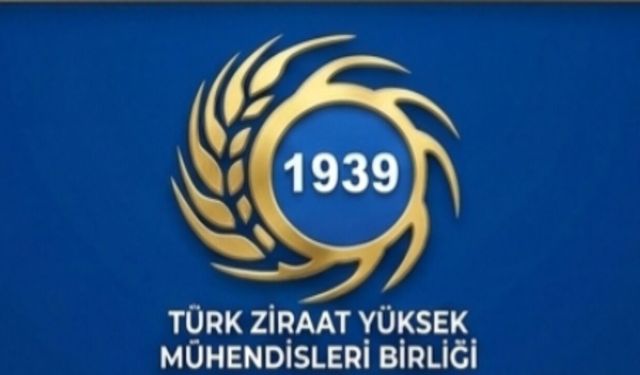 TZYMB’den Buğday Alım Fiyatına Revize Çağrısı