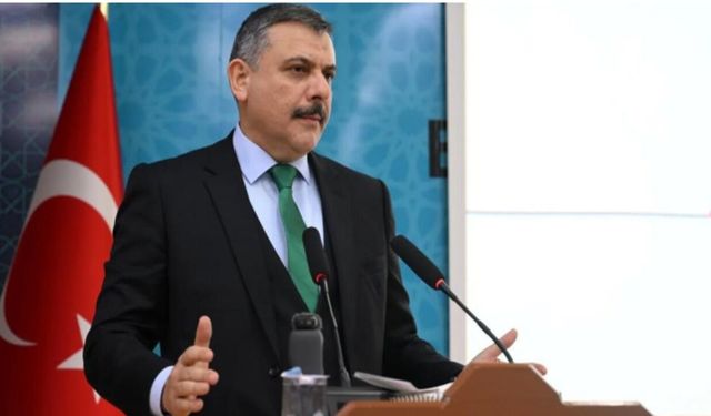 Yılbaşına Kadar Sokak Hayvanları İçin Kapsamlı Toplama ve Barınak Planı