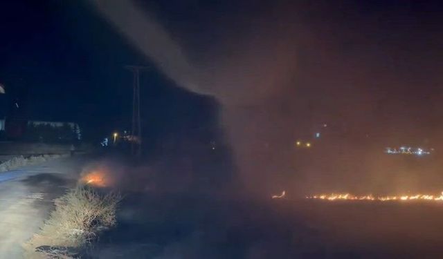 Elazığ'da Arazi Yangını Söndürüldü