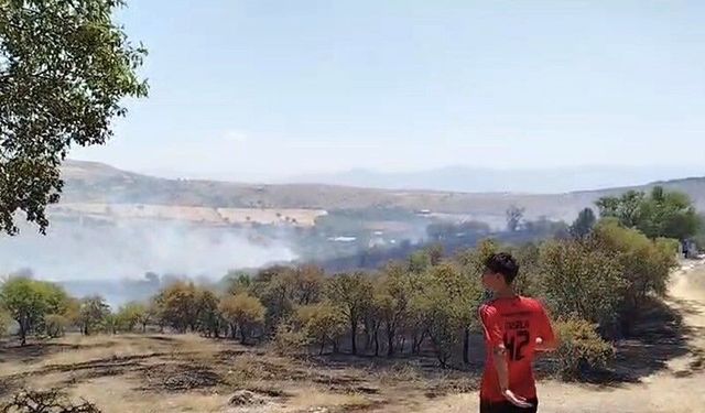 Elazığ'da Çıkan Yangın Söndürüldü