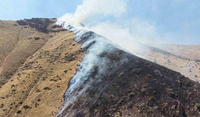 Dağlık Alandaki Yangın Sonrası Şüpheliye Tutuklama