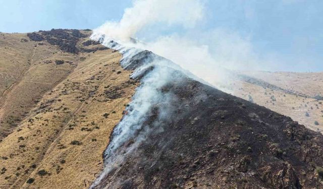 Elazığ'da Dağlık Alandaki Yangına Müdahale Sürüyor
