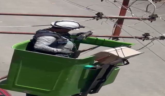 Elektrik Tellerine Takılan Kuş Kurtarıldı