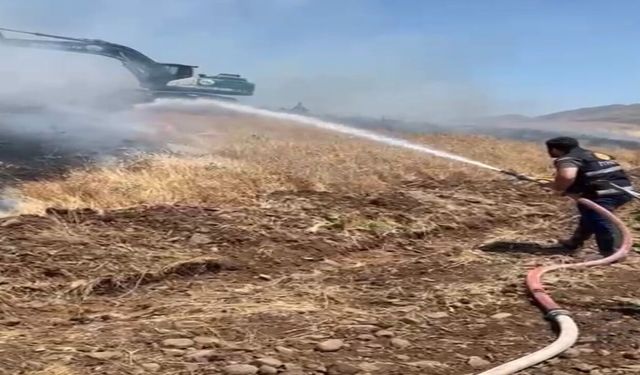 Elazığ'da 35 Dönüm Ekili Alan Küle Döndü