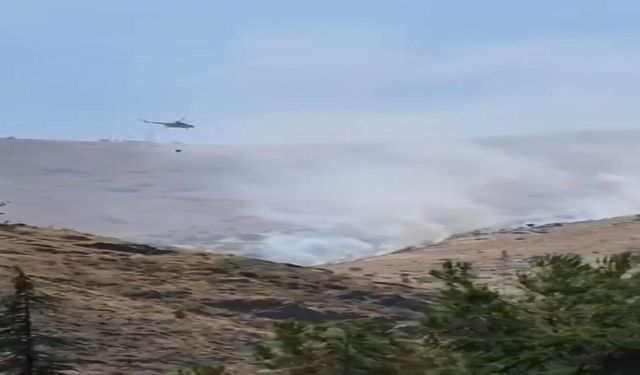 Elazığ'daki Dağlık Alan Yangınına Havadan Müdahale Başladı