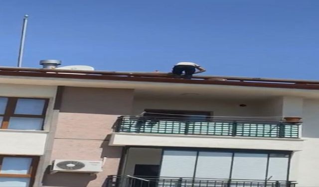 Çatıdaki Tehlikeli Çalışma Kameraya Yansıdı