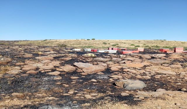 Elazığ'da Arazi Yangını: Arı Kovanları Zarar Gördü