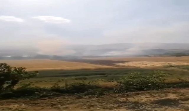Elazığ'da Otluk Alanda Yangın