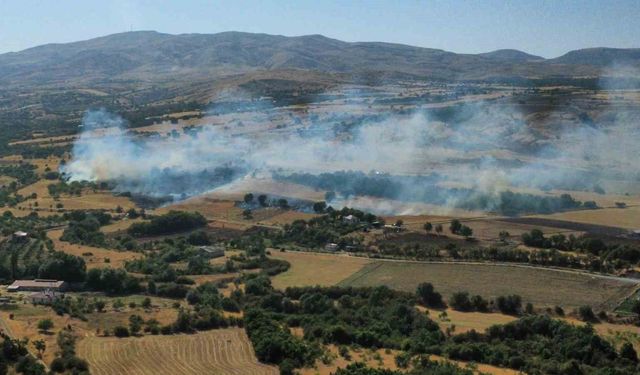 Elazığ'da Anız ve Bahçe Yangını