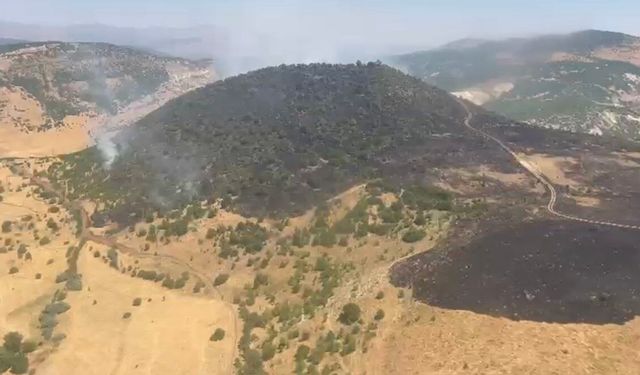 Elazığ'daki Orman Yangını Kontrol Altına Alındı