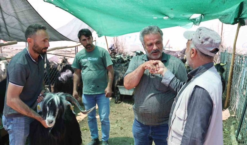 Elazığ’da ’kol kıran’ pazarlıklar sürüyor