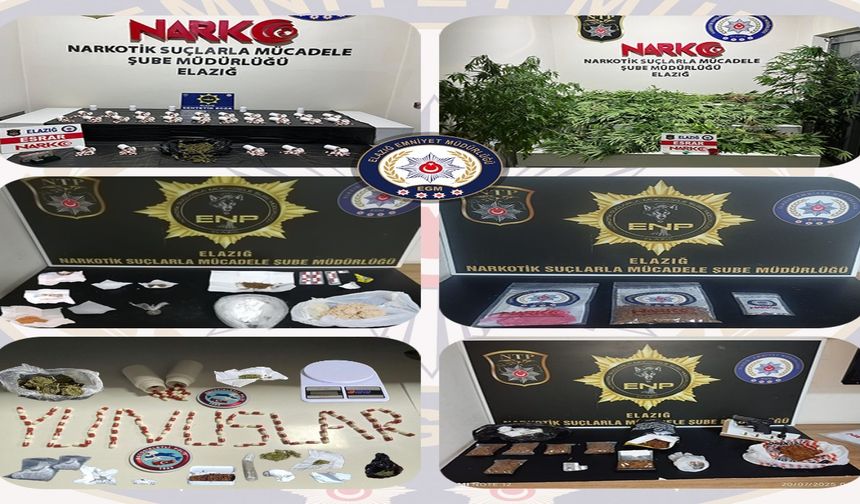 Elazığ'da Uyuşturucu Operasyonu: 10 Kişi Tutuklandı