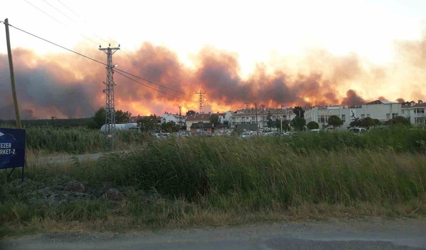 6 İlde Orman Yangınlarıyla Mücadele Sürüyor