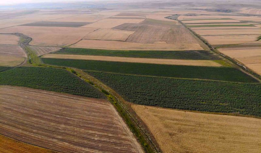 Boş Kalan Tarım Arazileri Kiraya Veriliyor: Süreç Resmen Başladı