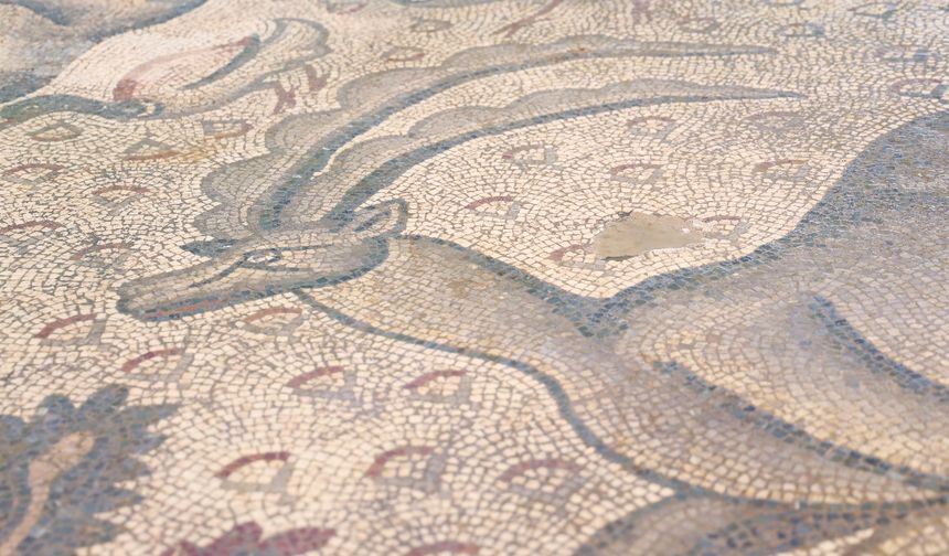 Hayvan Figürleriyle Dolu Bin 700 Yıllık Roma Mozaiği, Burjuva Yaşamının İzlerini Taşıyor