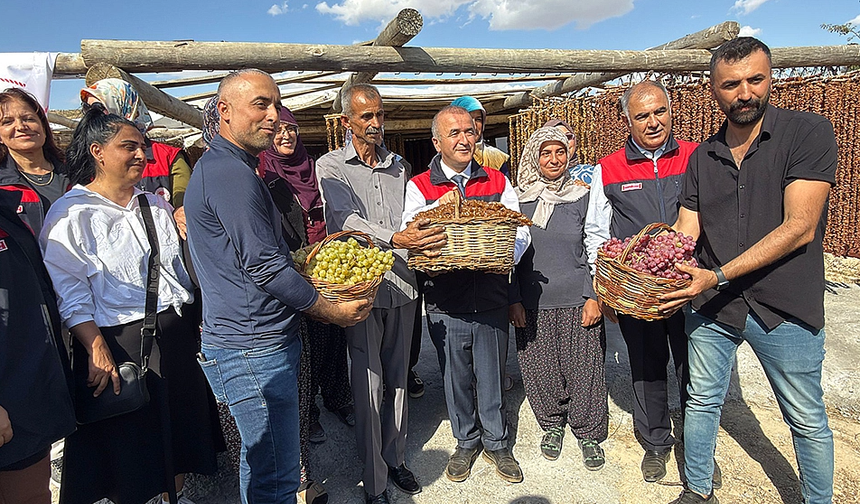 Kurtdere Köyü’nde Bağ Bozumu ve Orcik Coşkusu