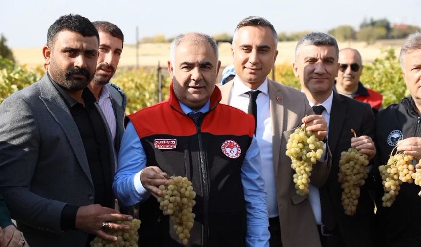 Üzüm Üreticilerine Bitki Sağlığı Desteği