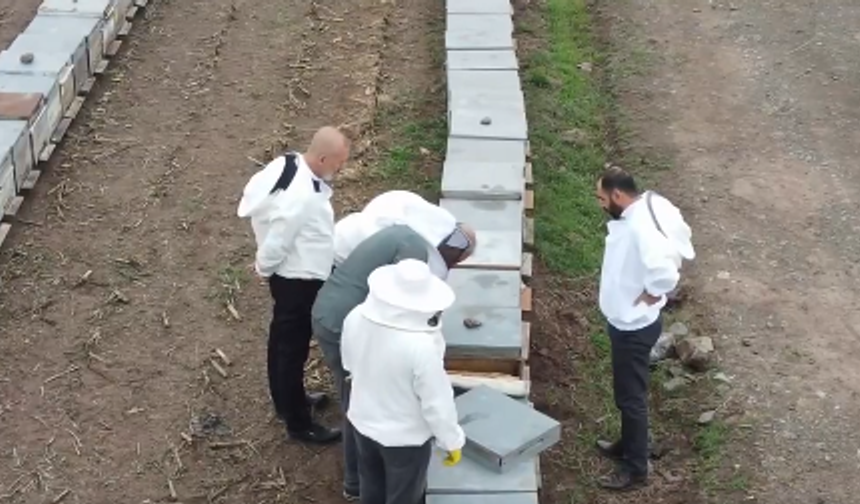 Elazığ’da Geven Balı Üretiminde Kış Hazırlıkları Denetlendi