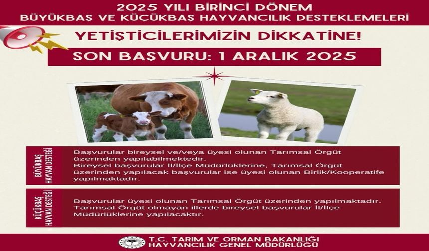 Büyük ve Küçükbaş Hayvan Desteği Başvuruları 1 Aralık’ta Sona Eriyor