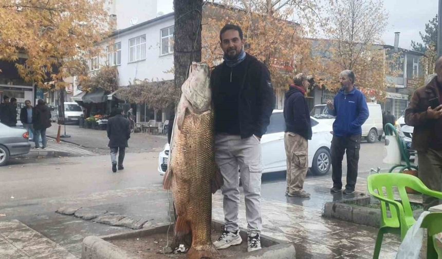 Elazığ’da 60 Kiloluk Turna Balığı Yakalandı