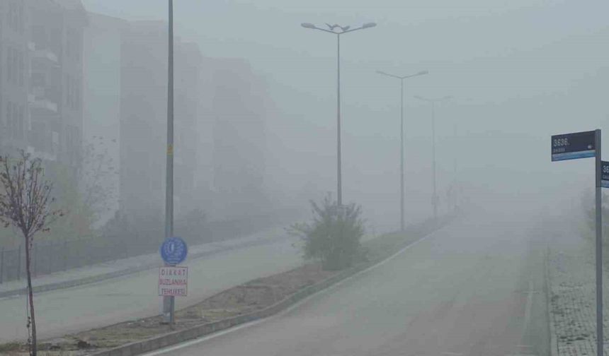 Elazığ’da yoğun sis, bir mahalle adeta kayboldu