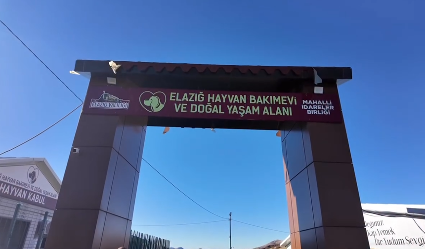 Vali Hatipoğlu’ndan Kovancılar’daki Sokak Hayvanları Yaşam Alanına İnceleme