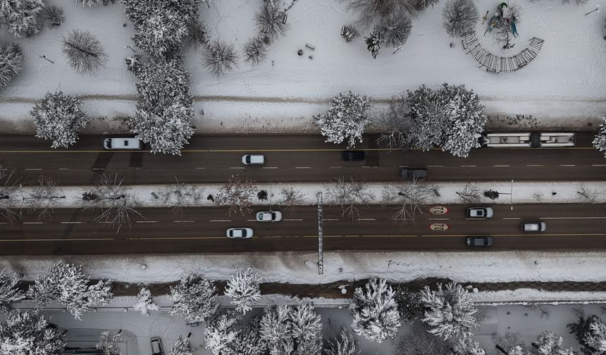 Elazığ'da Beton Yığınlarının Arasındaki Beyaz Vaha Mest Etti