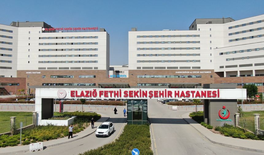 Elazığ'da 645 Kişi, Kar ve Buzlanmadan Dolayı Düşerek Yaralandı