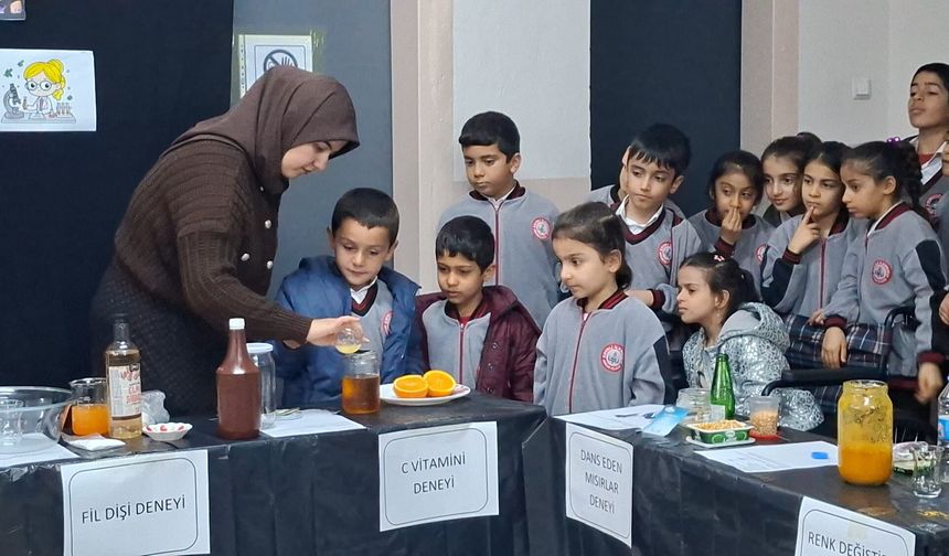 Arıcak’ta Öğrencilere Bilimi Sevdiren Etkinlik