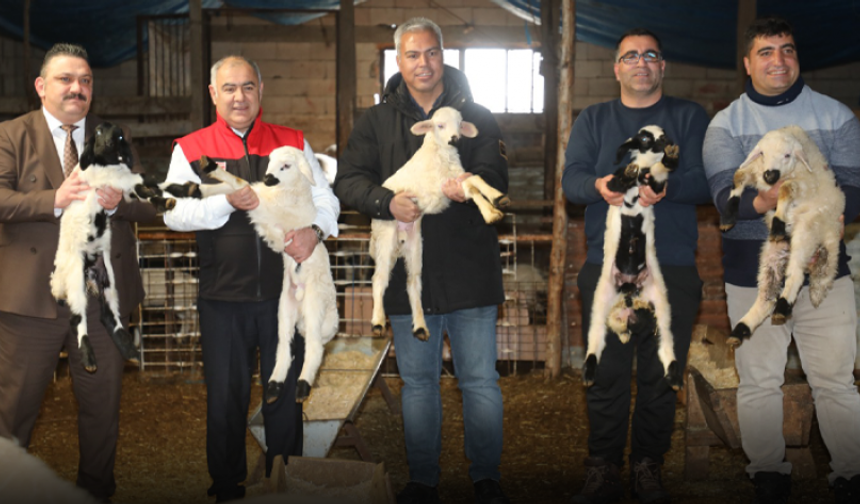 Alacakaya’da Küçükbaş Hayvancılık İşletmesine Saha Ziyareti
