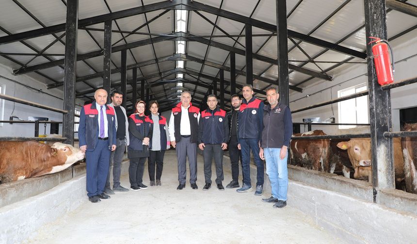 Kovancılar’da 8 Milyon TL’lik Besi Tesisi Üretime Başladı