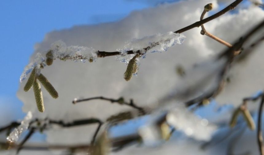Meteoroloji’den Elazığ İçin Buzlanma ve Don Uyarısı