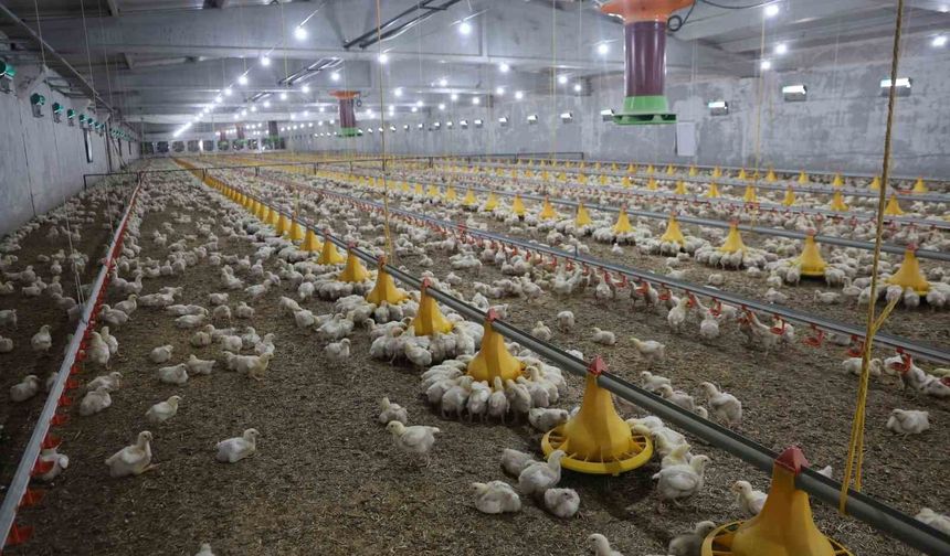 Devletten Aldığı Destekle İkinci Çiftliğini Açtı