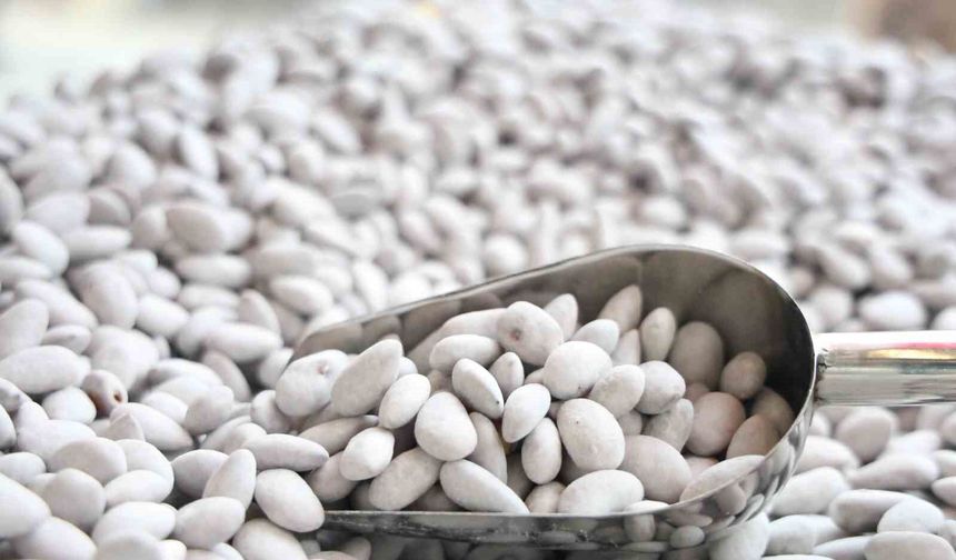 Elazığ'ın 'Beyaz altını' Badem Şekeri