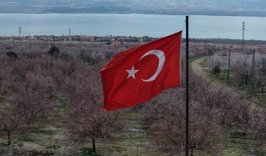 Kayısı Bahçeleri Beyaza Büründü, Ortaya Eşsiz Manzaralar Çıktı