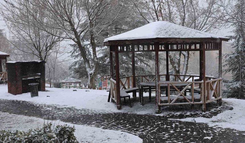 Mart ayında Elazığ'a kar sürprizi